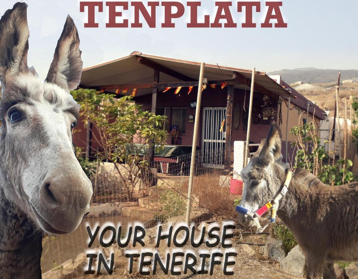 Tenplata Tijoco de Abajo Bagian luar foto